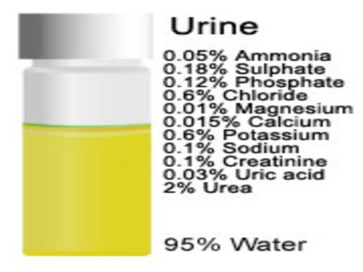 2016 Year-Ender: Malawi entrepreneur turns urine into wealth   