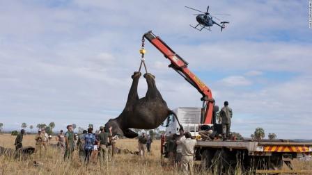 $65 million grant to Africa Parks boosts wildlife conservation in Malawi